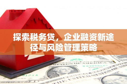 迭部探索税务贷，企业融资新途径与风险管理策略