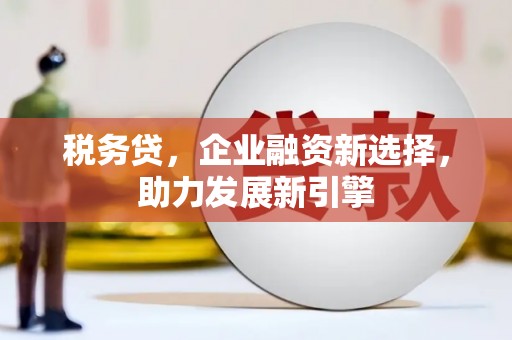 德州税务贷，企业融资新选择，助力发展新引擎