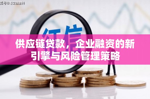 朱家尖供应链贷款，企业融资的新引擎与风险管理策略