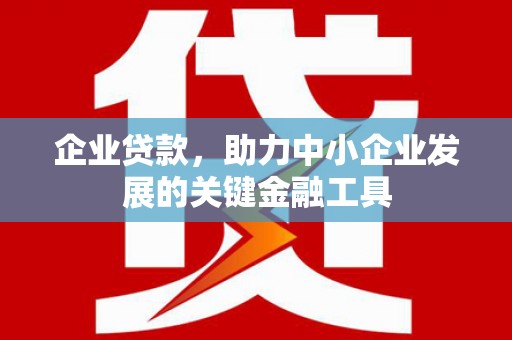 仙居企业贷款，助力中小企业发展的关键金融工具