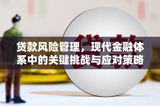 平和贷款风险管理，现代金融体系中的关键挑战与应对策略