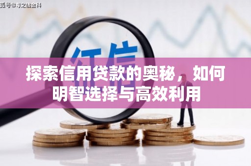 丰台探索信用贷款的奥秘，如何明智选择与高效利用