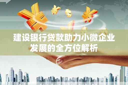 西海岸建设银行贷款助力小微企业发展的全方位解析