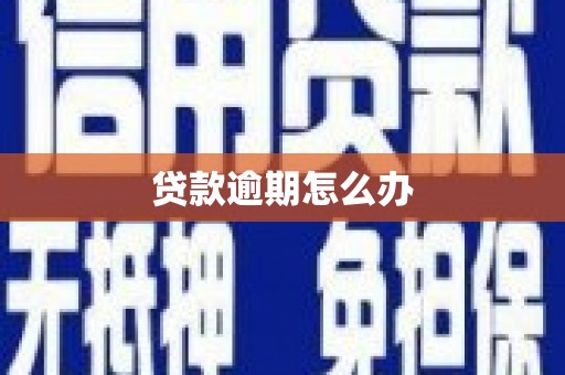 花坛贷款逾期怎么办