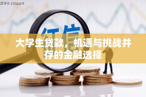 庆元大学生贷款，机遇与挑战并存的金融选择