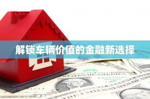 铁山解锁车辆价值的金融新选择