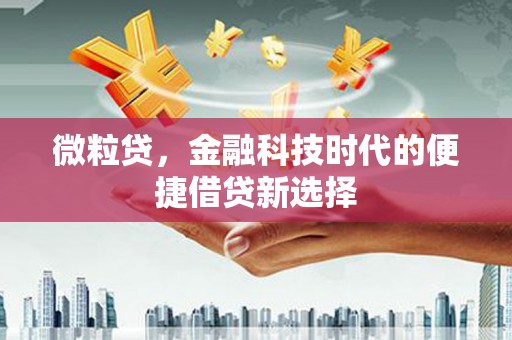 洪梅微粒贷，金融科技时代的便捷借贷新选择