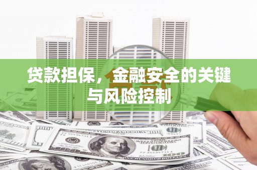 文县贷款担保，金融安全的关键与风险控制