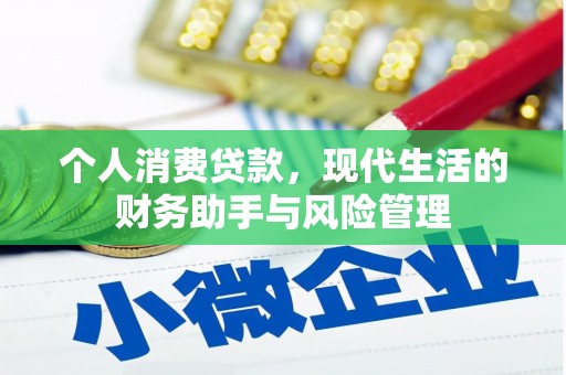 阜沙个人消费贷款，现代生活的财务助手与风险管理