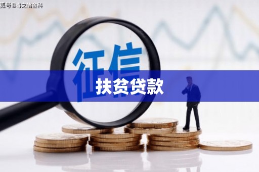 赵县扶贫贷款