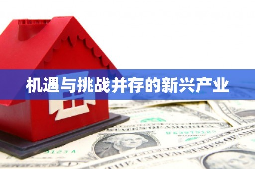 金寨机遇与挑战并存的新兴产业