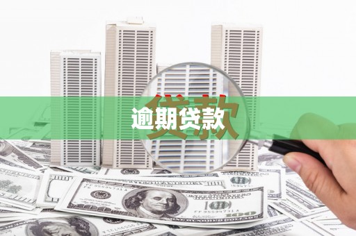 凉山逾期贷款