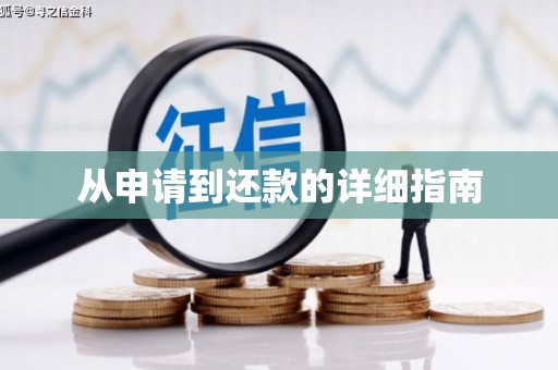 芒市从申请到还款的详细指南