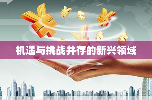 久治机遇与挑战并存的新兴领域