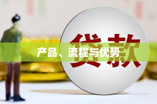 新洲产品、流程与优势