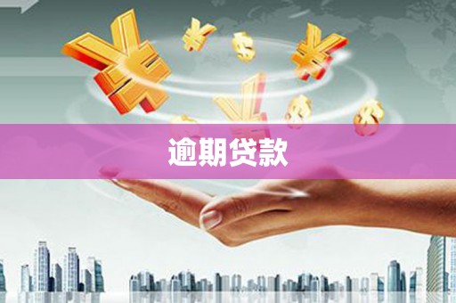 乌拉特后旗逾期贷款