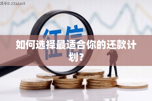 于洪如何选择最适合你的还款计划？