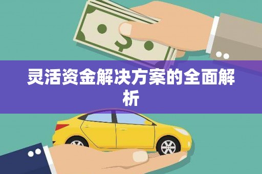 浉河灵活资金解决方案的全面解析