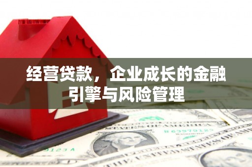 陆良经营贷款，企业成长的金融引擎与风险管理
