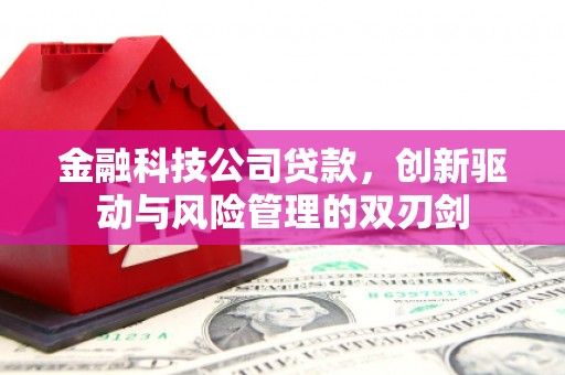 越城金融科技公司贷款，创新驱动与风险管理的双刃剑